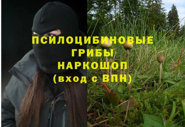 мескалин Новозыбков