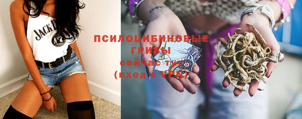 мескалин Новозыбков
