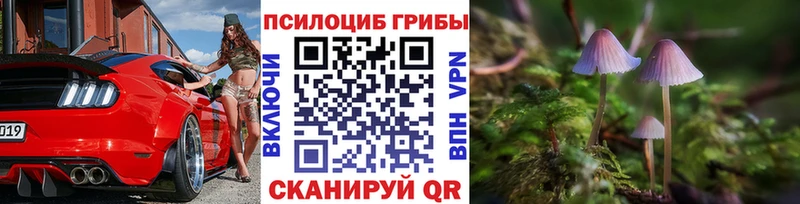 где купить   Судогда  Псилоцибиновые грибы Psilocybine cubensis 